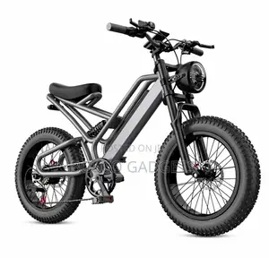 Off-Road Rugged Fat Tire Electric Bike/Bicycle