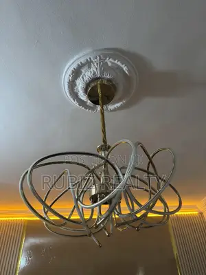 Luxury Chandelier Light
