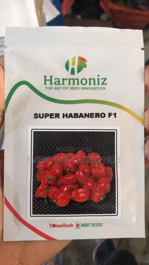 Supper Habanero F1 1000 Seeds