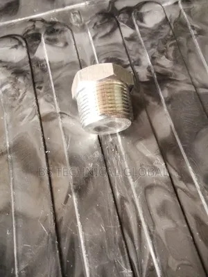 1" Plug Stainless