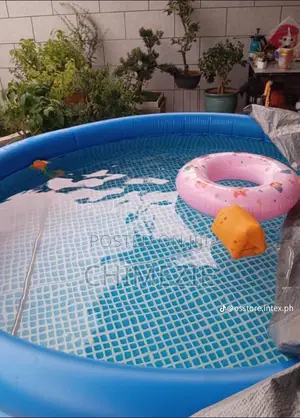Intex Easy Set Inflatable Pool 10 Feet by 30 Inches With Water Machine