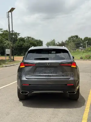 Lexus NX 300 FWD 2017 Gray