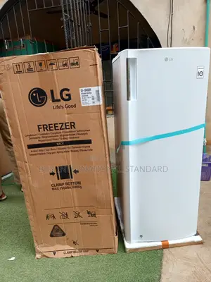 Lg 168l Freezer – Fast Freezing Technology