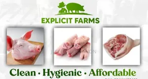 Pork Meat Fresh Pig Meat