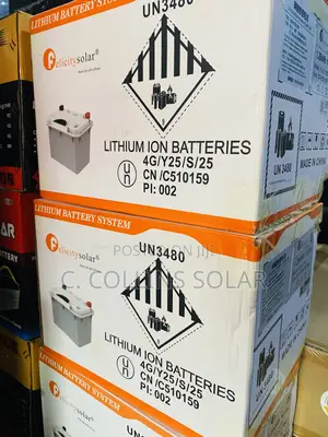 Felicity Lithium Battery