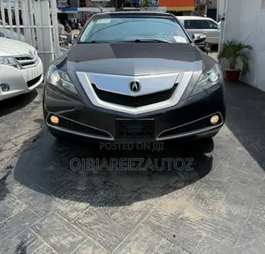 Acura ZDX Base AWD 2010 Gray