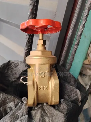 3" China Brass Gate Valve