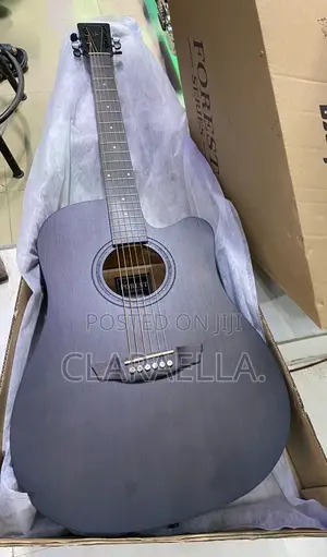 Strinberg Forest Series Electro-Acoustic Guitar