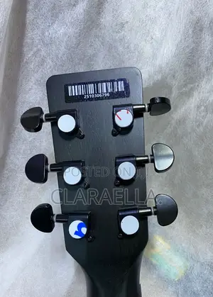 Strinberg Forest Series Electro-Acoustic Guitar