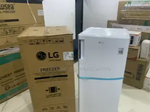 Lg Gn-304sqbr Refrigerator – Your Freshness Partner