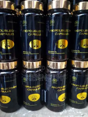 Norland Propolis Lecithin Capsules