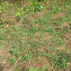 100 by 100 Plot of Land for Sale in Makurdi