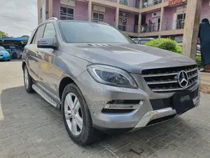 Mercedes-Benz M Class 2013 Gray