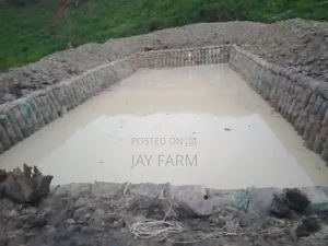 Contact For Your New Earthen Ponds And Renovation