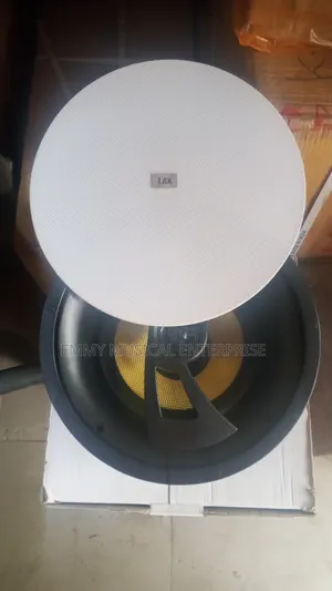 Subwoofer for Ceiling Speaker