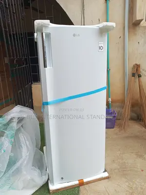 Lg 168l Freezer – More Space Instantly