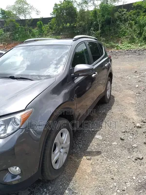 Toyota RAV4 LE 4dr SUV AWD (2.5L 4cyl 6A) 2015 Gray