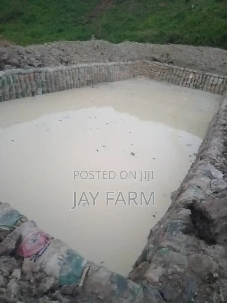 Pond Construction