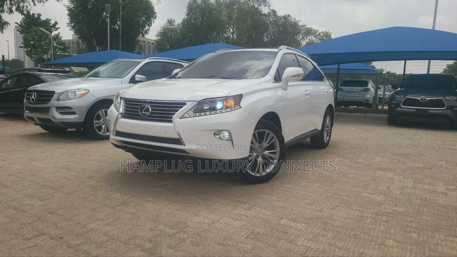 Lexus RX 2016 White