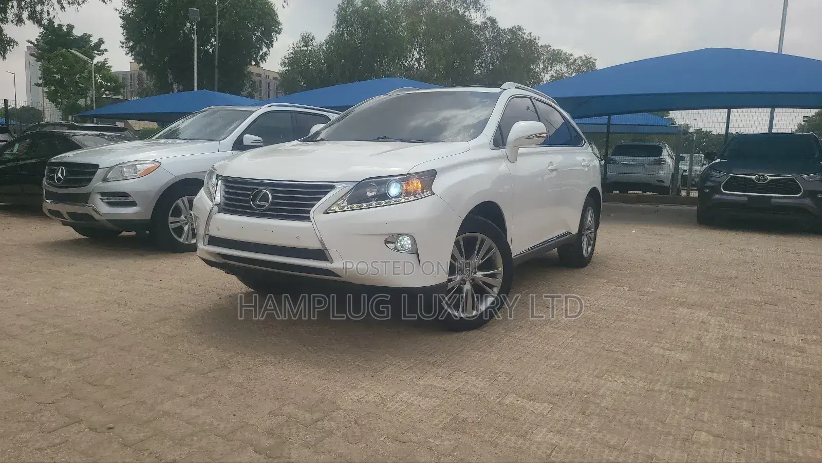 Lexus RX 2016 White