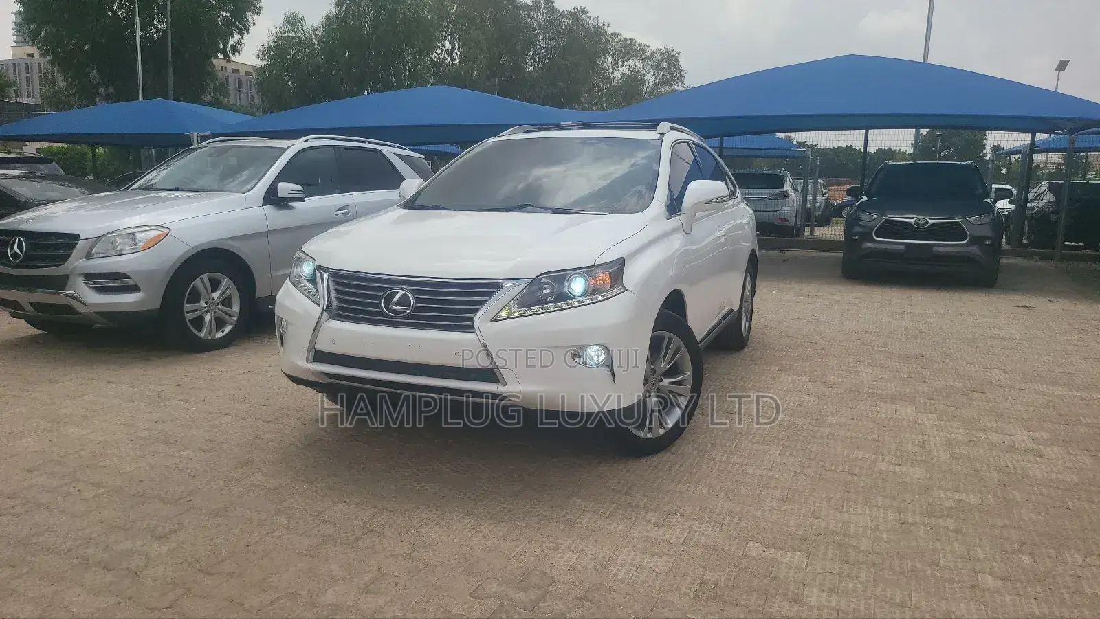 Lexus RX 2016 White
