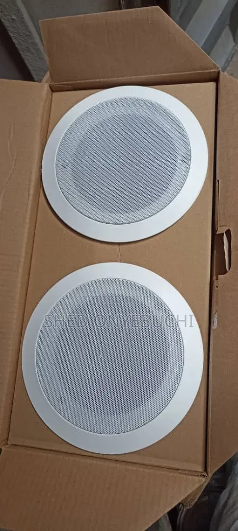 Ceiling Speaker With Different Wattage