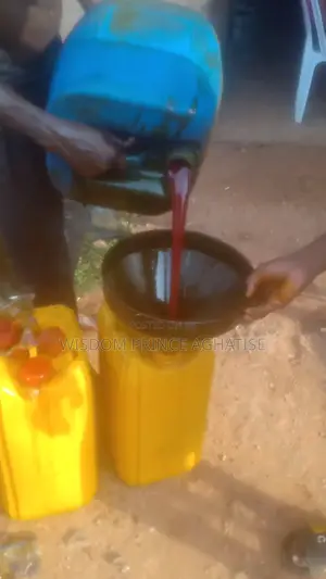 Palm Oil_fresh