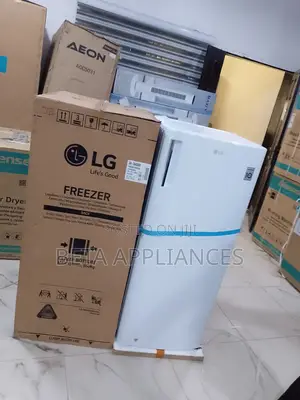 Lg Refrigerator Upright Freezer 70l Sleek Look