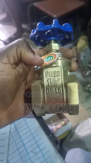 Original Gate Valve