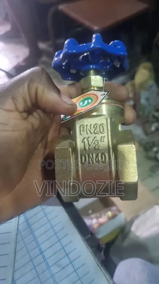 Original Gate Valve