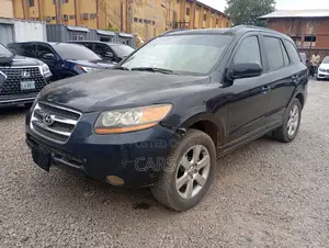 Hyundai Santa Fe 2008 Blue