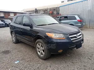 Hyundai Santa Fe 2008 Blue