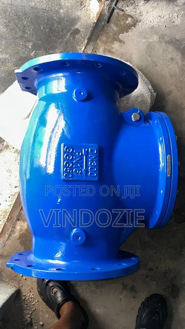 Dn 300 Non Return Valve