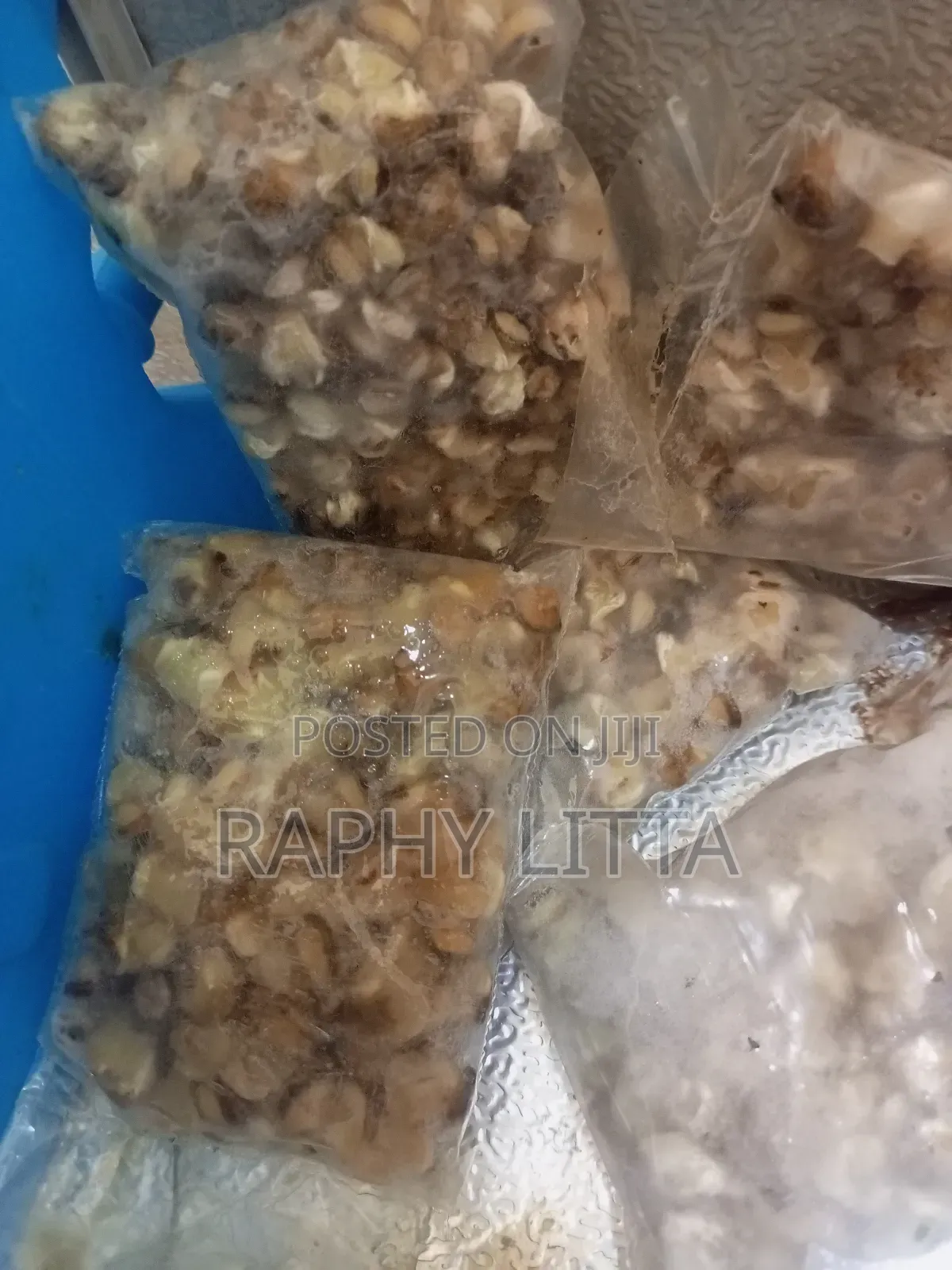 Salt Water Seafoods