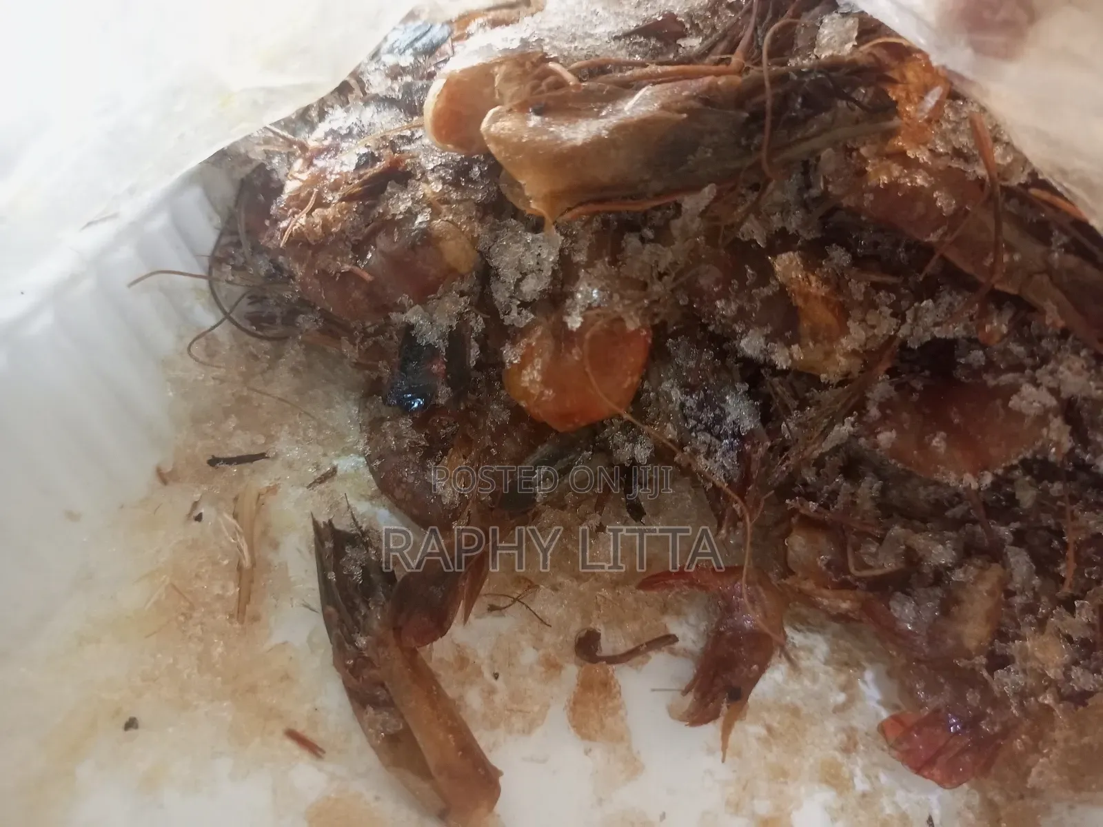 Salt Water Seafoods