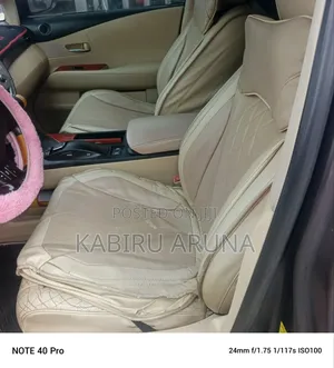 Lexus RX 2010 Gray