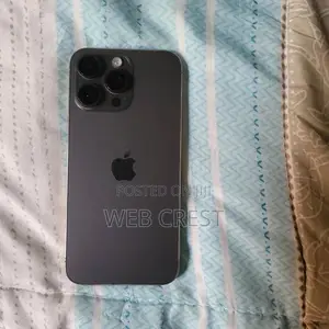 Apple iPhone 15 Pro Max 256 GB Gray