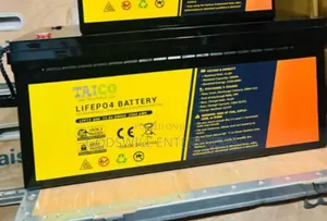 Taico Lifepo4 Battery.