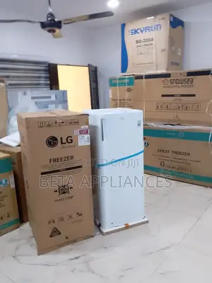 Lg Upright Freezer 168l Secure Food Storage