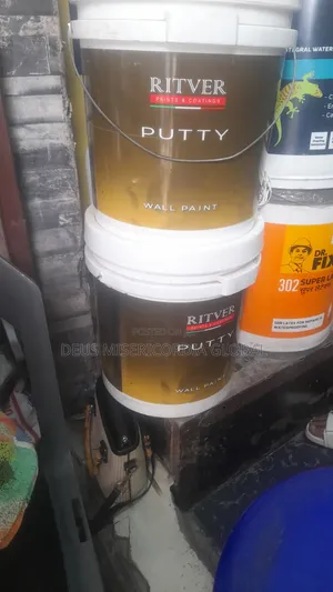 Ritver Paints and Coating Wall Putty