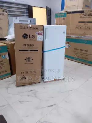 Lg 70l Upright Freezer Reliable Daily Cooling
