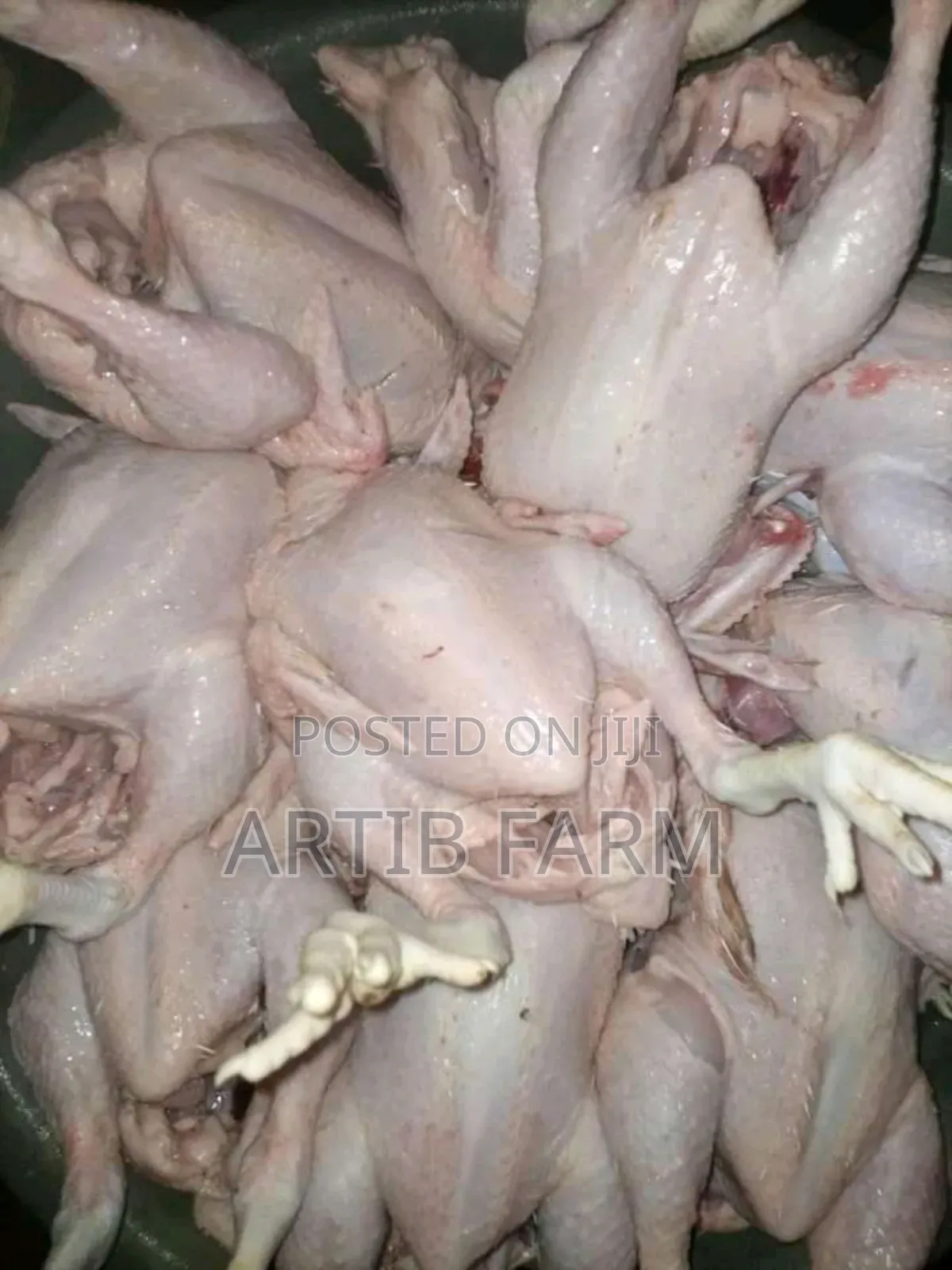 Dressed Chicken Per Kilogram