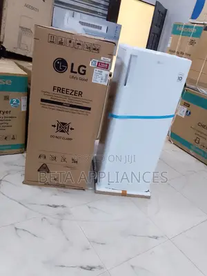 Lg Refrigerator Upright Freezer 168l Neat Design