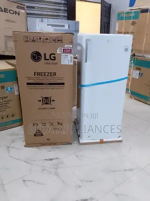 Lg Upright Freezer 70l Practical Family Use