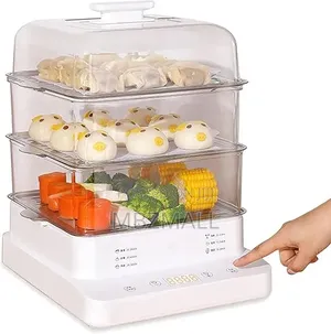Lectric Steamer, Household Multi-Functional Electric Steamer, 3 Levels