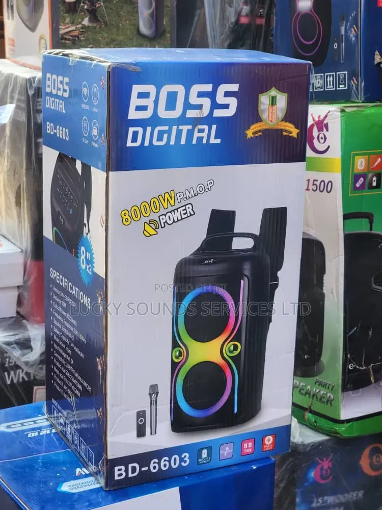 Boss Pa System