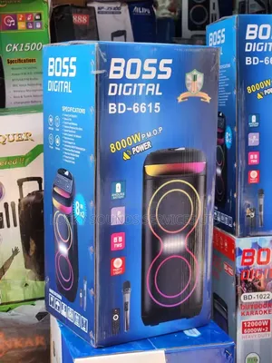 Boss Pa System