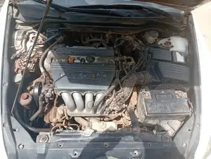 Honda Accord 2003 White