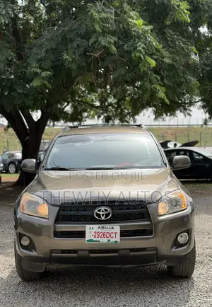 Toyota RAV4 2.5 Limited 2010 Brown