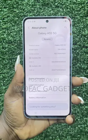 Samsung Galaxy A55 256 GB
